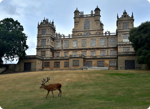 plaster in Wollaton